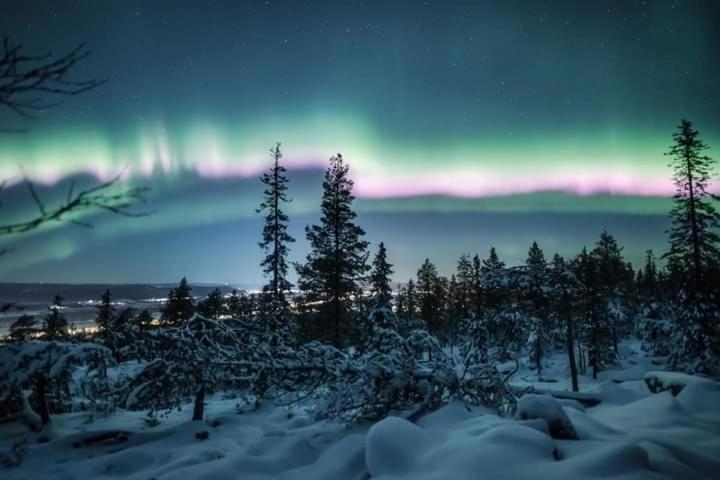 Karemajat Cottage Resort Ylitornio エクステリア 写真